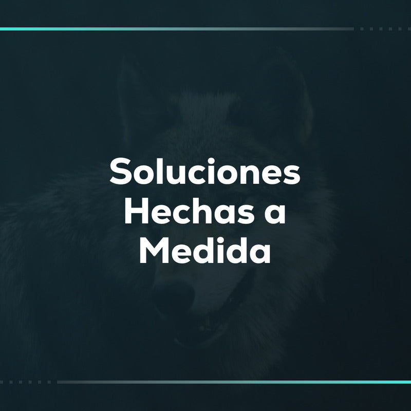 Soluciones hechas a medida: instalación y configuración de apps en Shopify