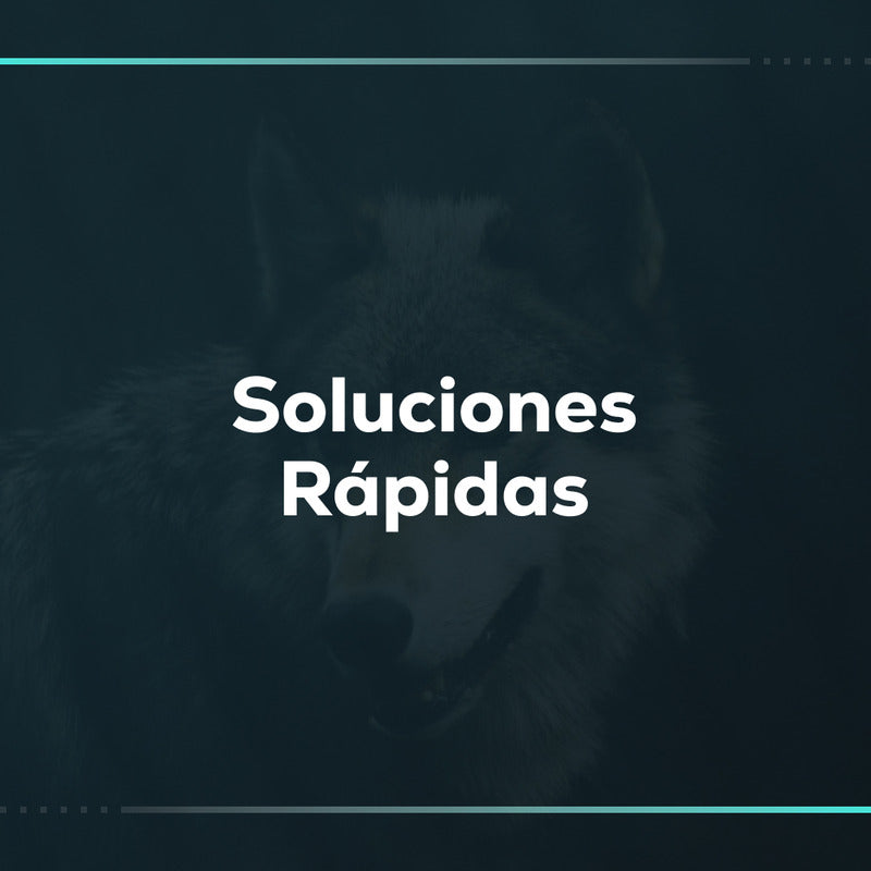 Soluciones rápidas: soporte técnico por hora para tu tienda Shopify