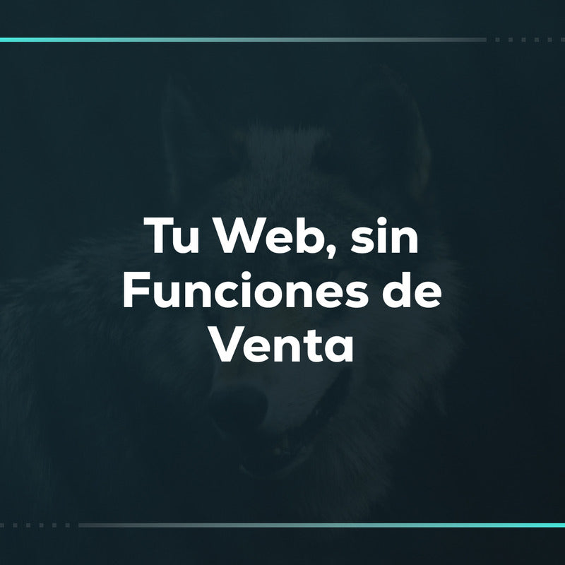 Tu web, sin funciones de venta: tienda informativa en Shopify